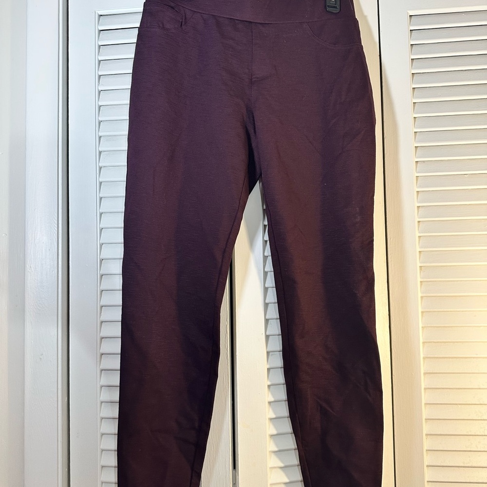 Women's Deep Purple Jeggings